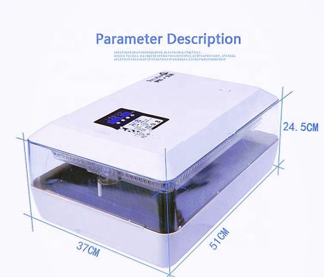 ποιότητας  Newest Type Fully Automatic Mini 60 Chicken Egg Incubator / High Quality Full Automatic εργοστάσιο